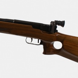 A1672 RARE - Carabine Strela 2 (CYPENA2) Cal. 22LR