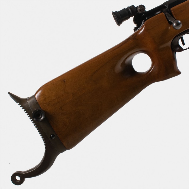 A1672 RARE - Carabine Strela 2 (CYPENA2) Cal. 22LR