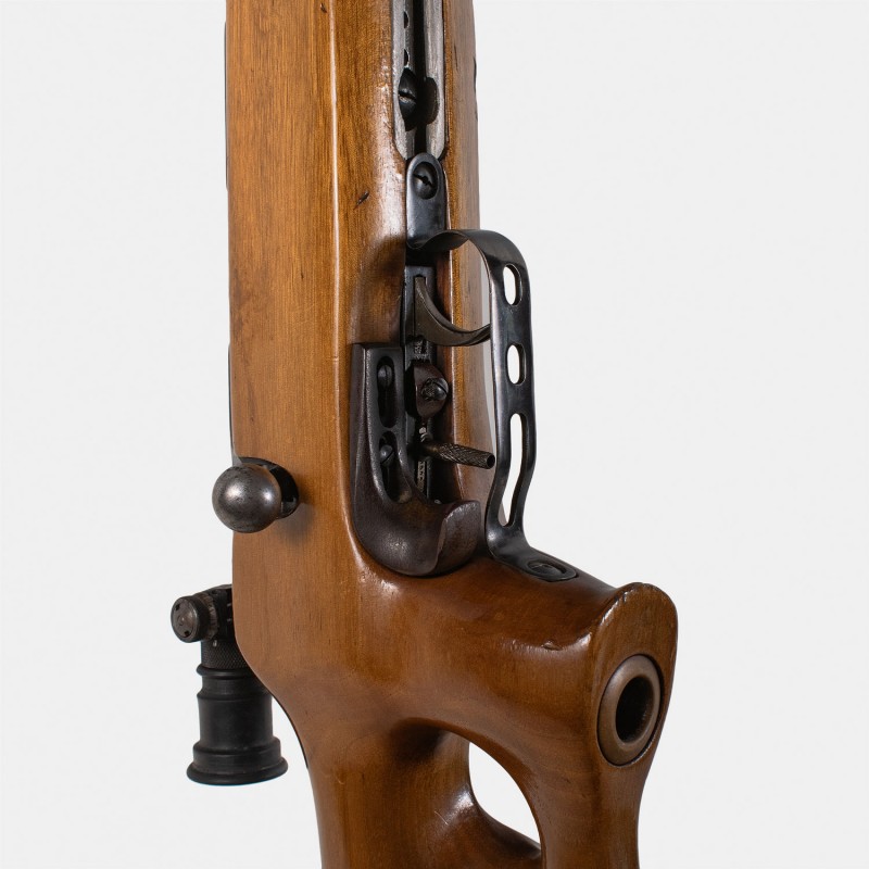 A1672 RARE - Carabine Strela 2 (CYPENA2) Cal. 22LR