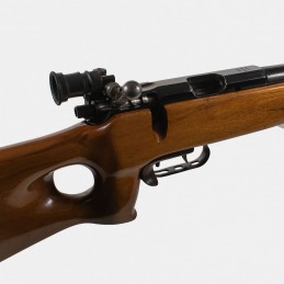 A1672 RARE - Carabine Strela 2 (CYPENA2) Cal. 22LR