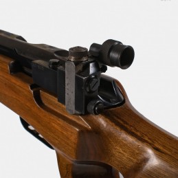 A1672 RARE - Carabine Strela 2 (CYPENA2) Cal. 22LR