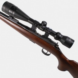 A1485 CZ Brno Modèle 2EH Cal. 22 LR + Lunette Hawke 2-12x44