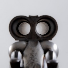 A1729 Fusil à chiens H. Hart Cal. 12 x 65