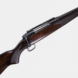A1834 Carabine Savage Modèle 110 Cal .243 Win