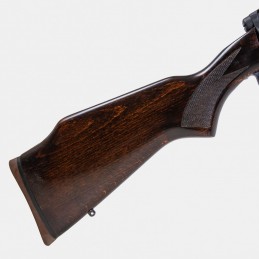 A1834 Carabine Savage Modèle 110 Cal .243 Win