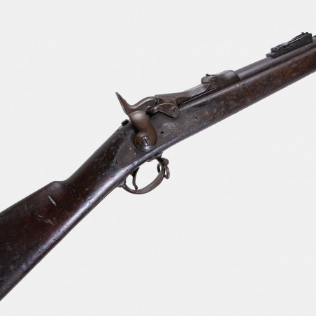 A1974 Fusil Springfield Mod. 1873 "Trapdoor" Cal. .45-70 Govt