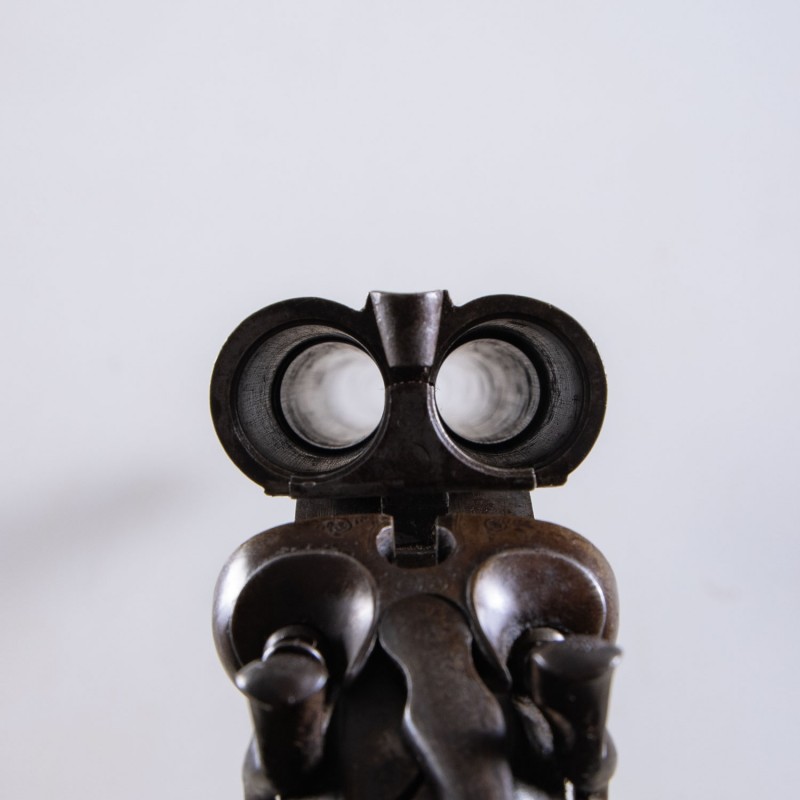 A1389 Fusil à Chiens Carr Bros (1875-1887) Cal. 12 PN