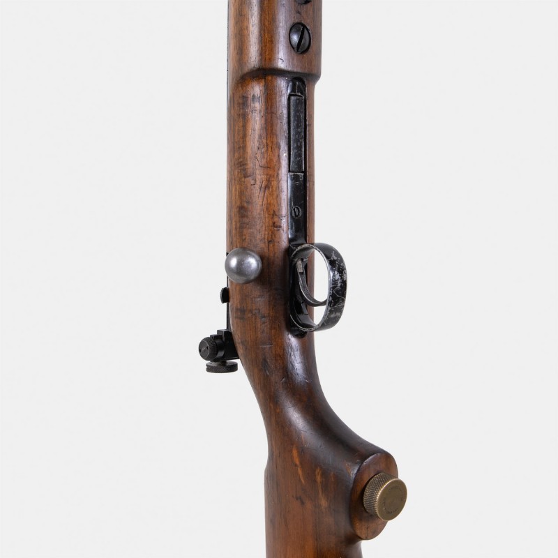 A1245 Carabine de Tir BSA & Co. Century Cal. .22 LR