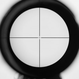 A2198 Carabine CZ 452 2E ZKM Cal .22 LR + Optique