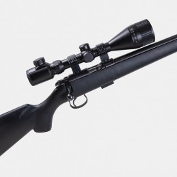 A2075 Carabine CZ Mod. 455 Cal .22 LR avec Lunette